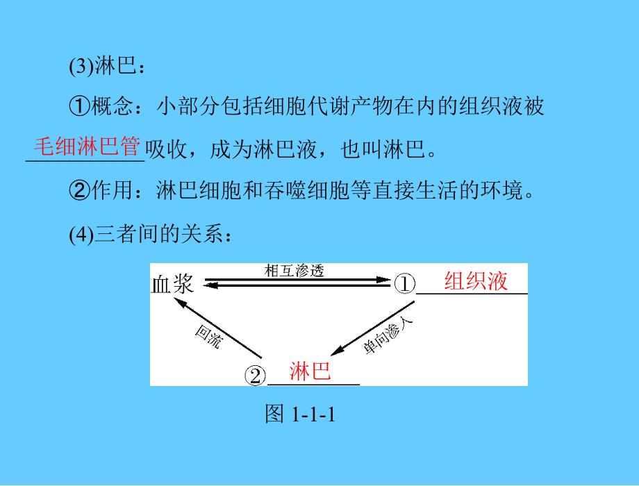 新人教版生物必修三：1.1细胞生活的环境ppt课件_第4页