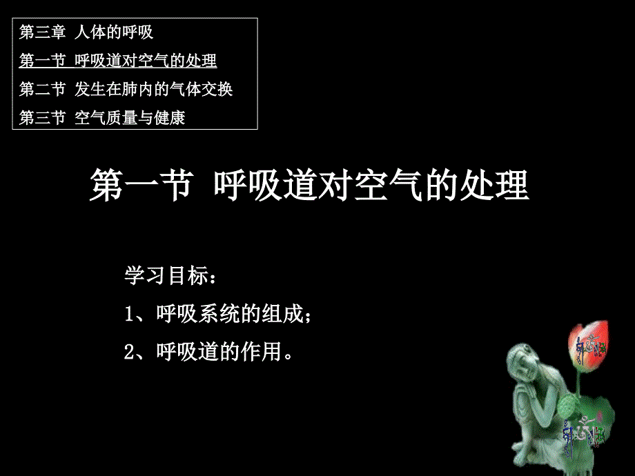 3、1呼吸道对空气的处理_第1页