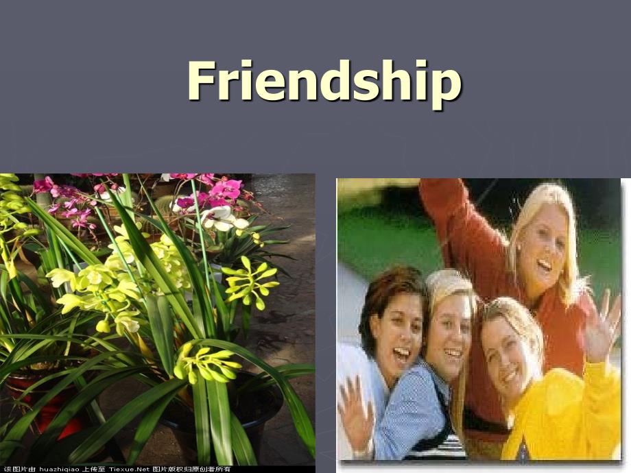 大学英语口语教程Friendship_第1页