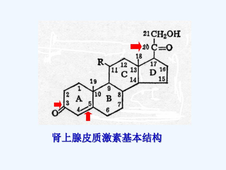 糖皮质激素 (2)_第4页