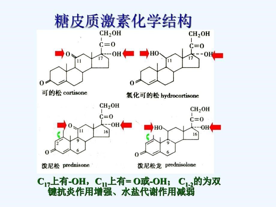 糖皮质激素 (2)_第5页