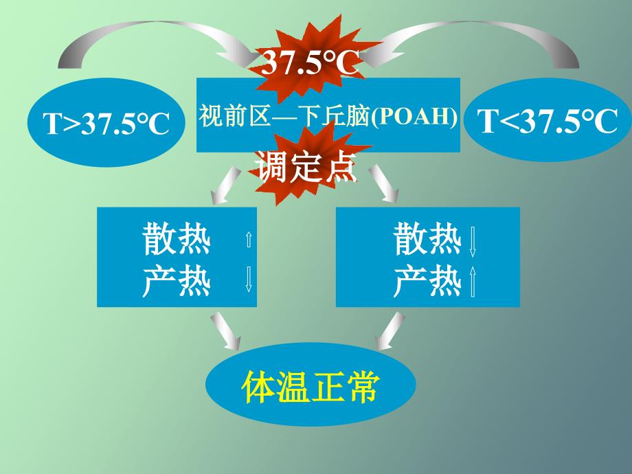 发热临床医学概论_第4页