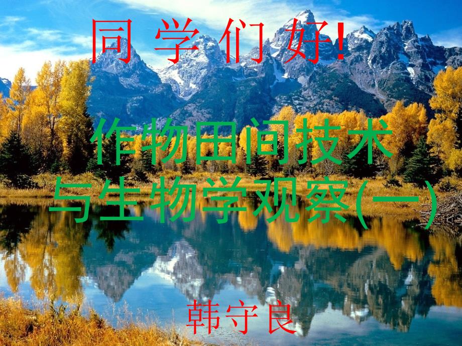 第三讲小麦的生长阶段与结实器官分解_第1页