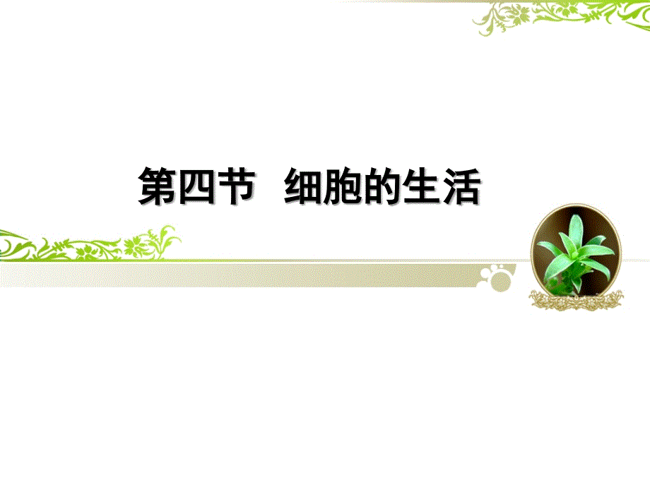 214细胞的生活_第1页