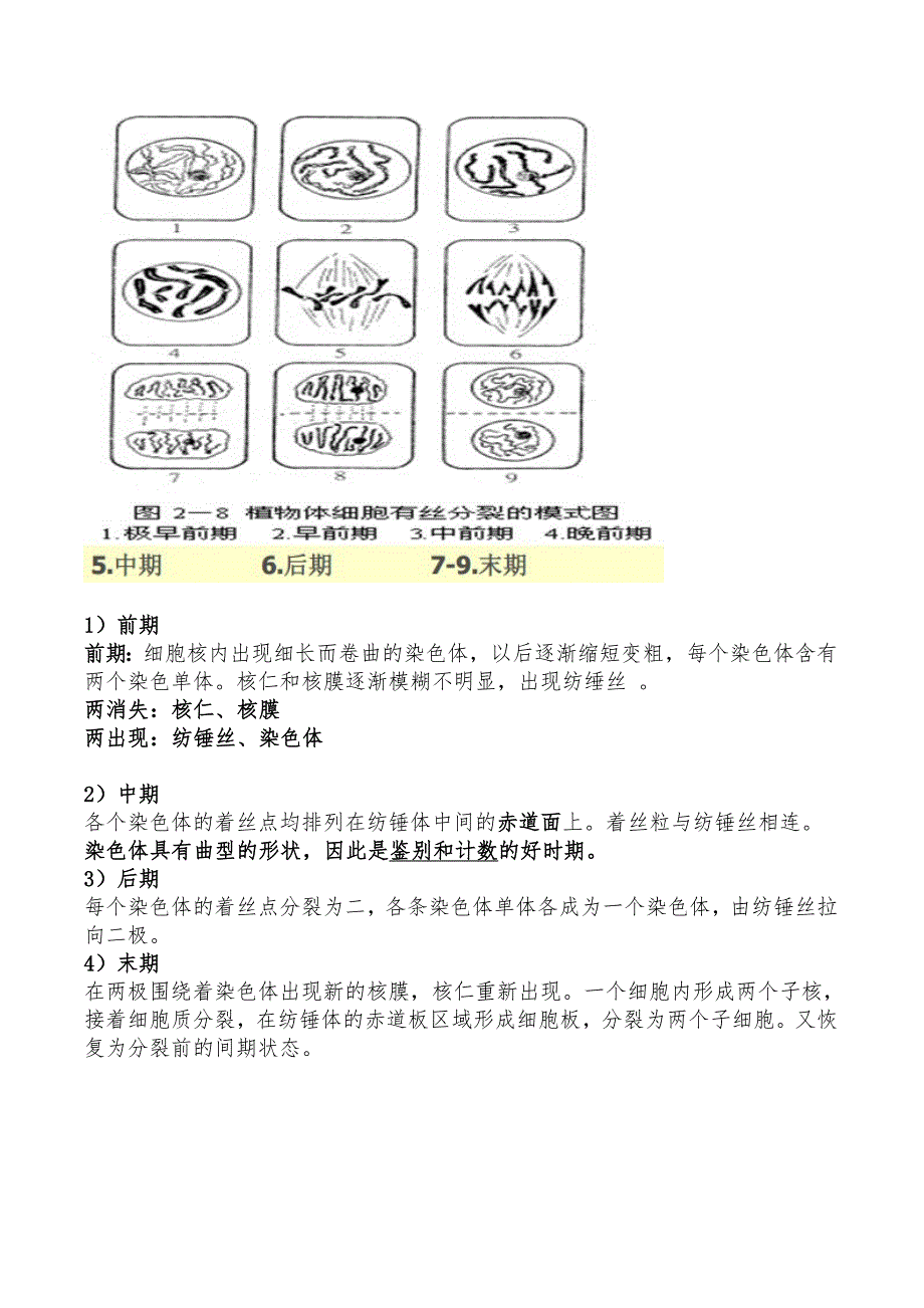 园林植物遗传学期末考试复习.doc_第4页