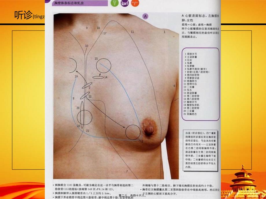 医学专题—心脏听诊ppt29959_第2页