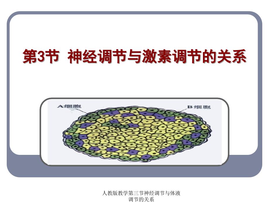 人教版教学第三节神经调节与体液调节的关系课件_第1页