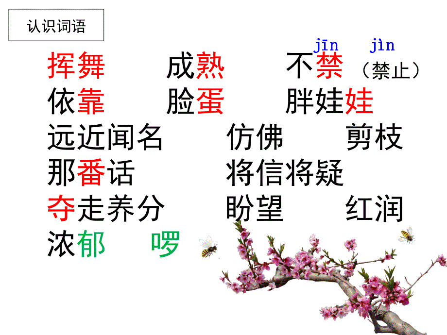 苏教版三下剪枝的学问_第3页