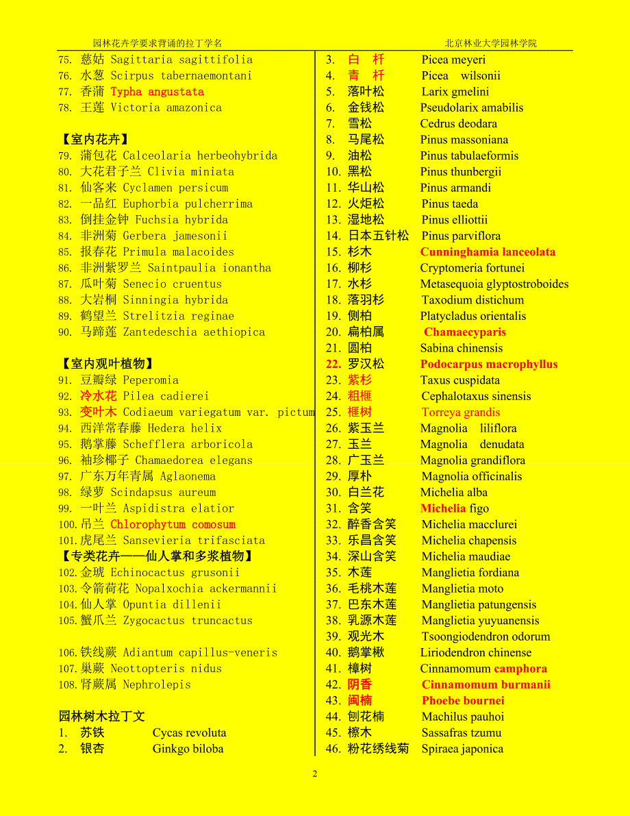 园林植物拉丁学名.doc_第2页