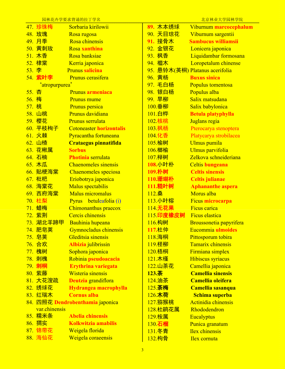 园林植物拉丁学名.doc_第3页