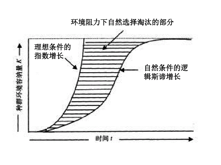 种群的数量波动及调节_第3页