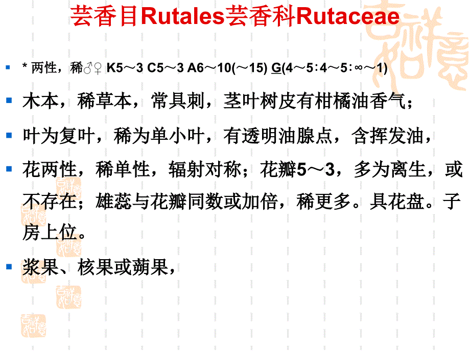 植物学教学课件：双子叶植物5_第4页