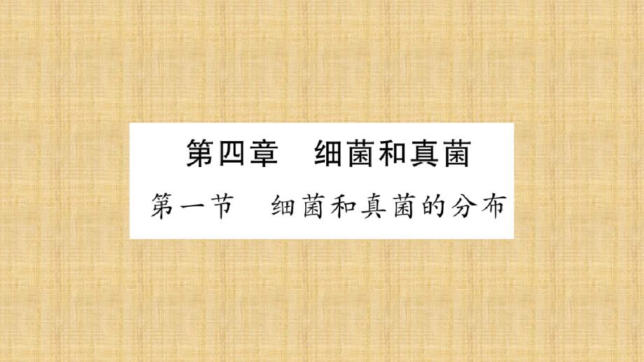 初中八年级生物上册第五单元第4章细菌和真菌名师优质课件新版新人教版_第2页