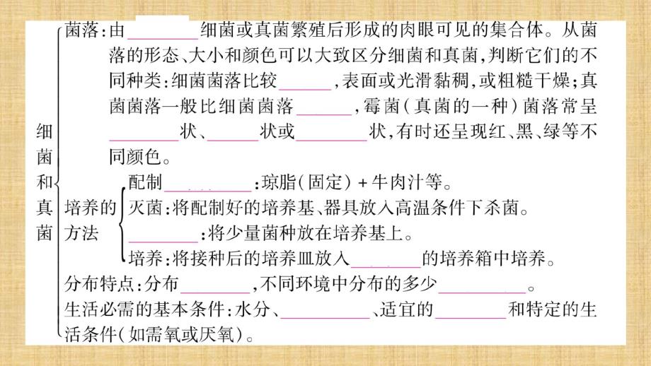 初中八年级生物上册第五单元第4章细菌和真菌名师优质课件新版新人教版_第3页