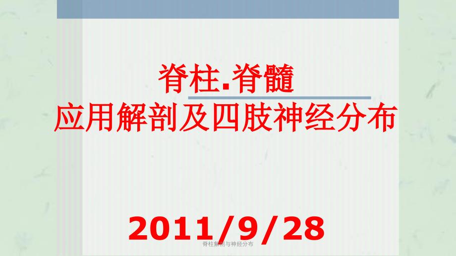 脊柱解剖与神经分布课件_第1页