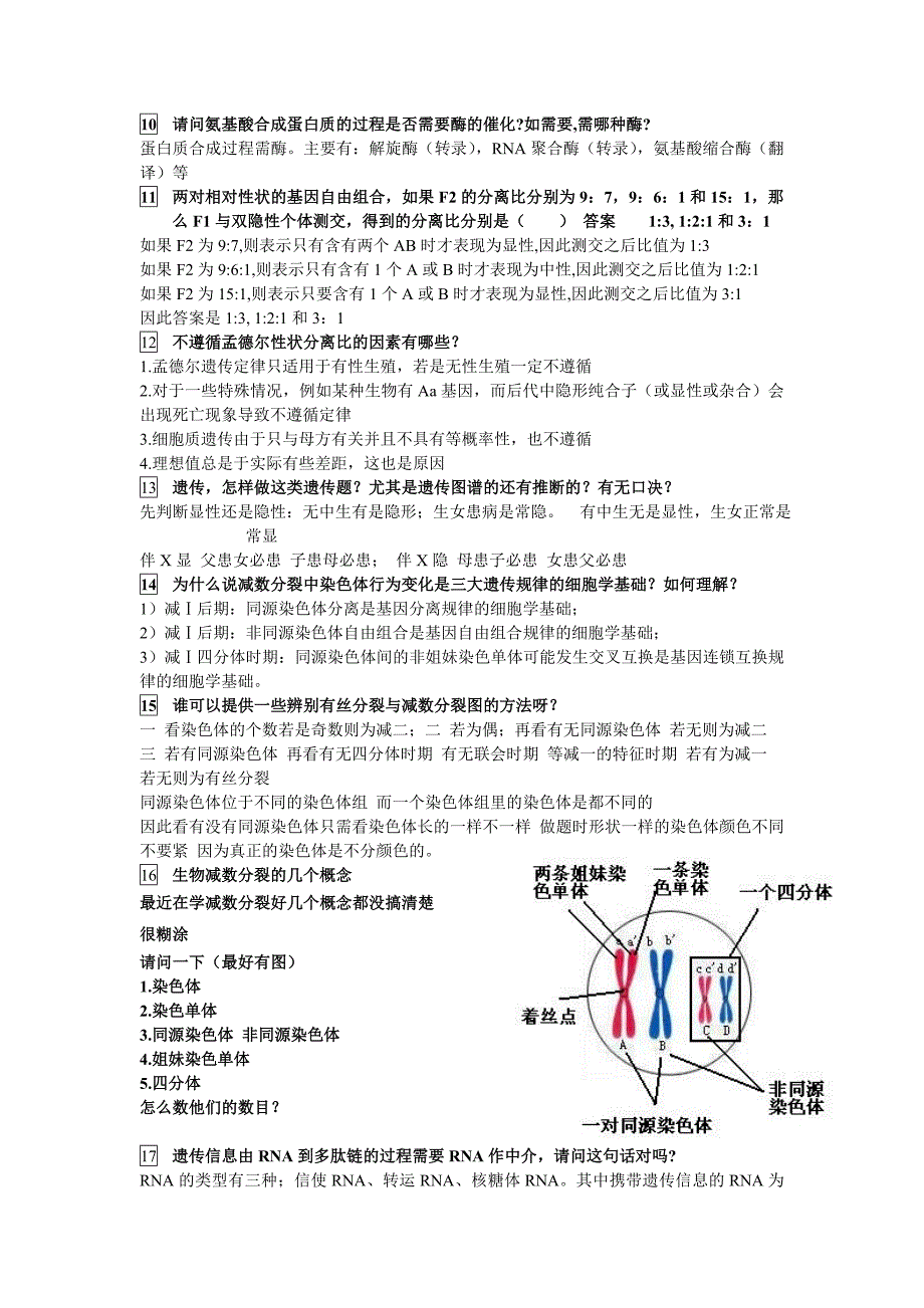 高中生物必修二易错汇总.doc_第2页