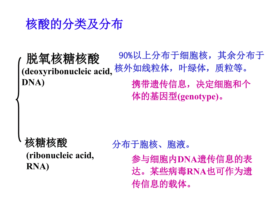 人教版教学课件生物31DNA是主要的遗传物质课件1新人教版必修2共109张_第4页