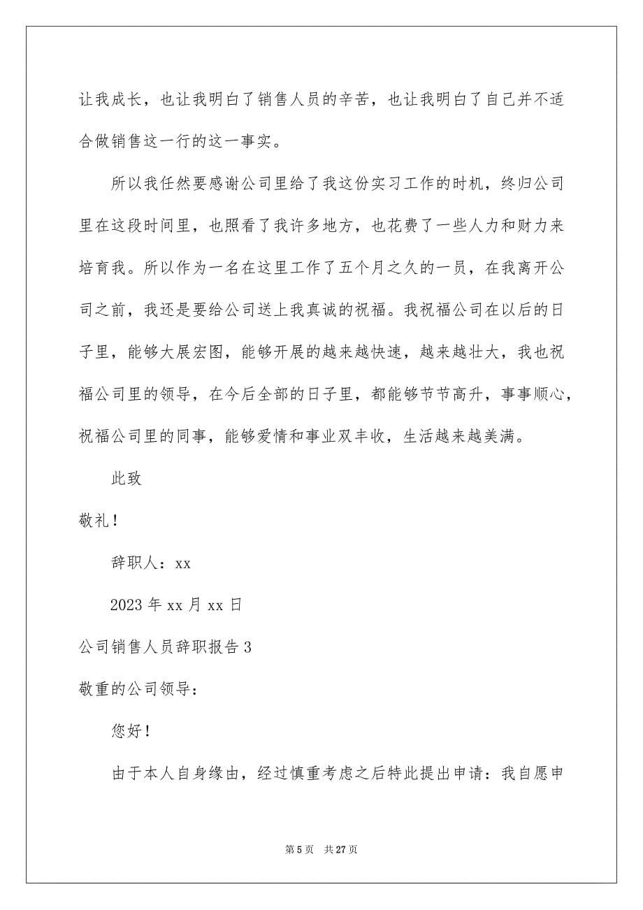 2023年公司销售人员辞职报告10.docx_第5页