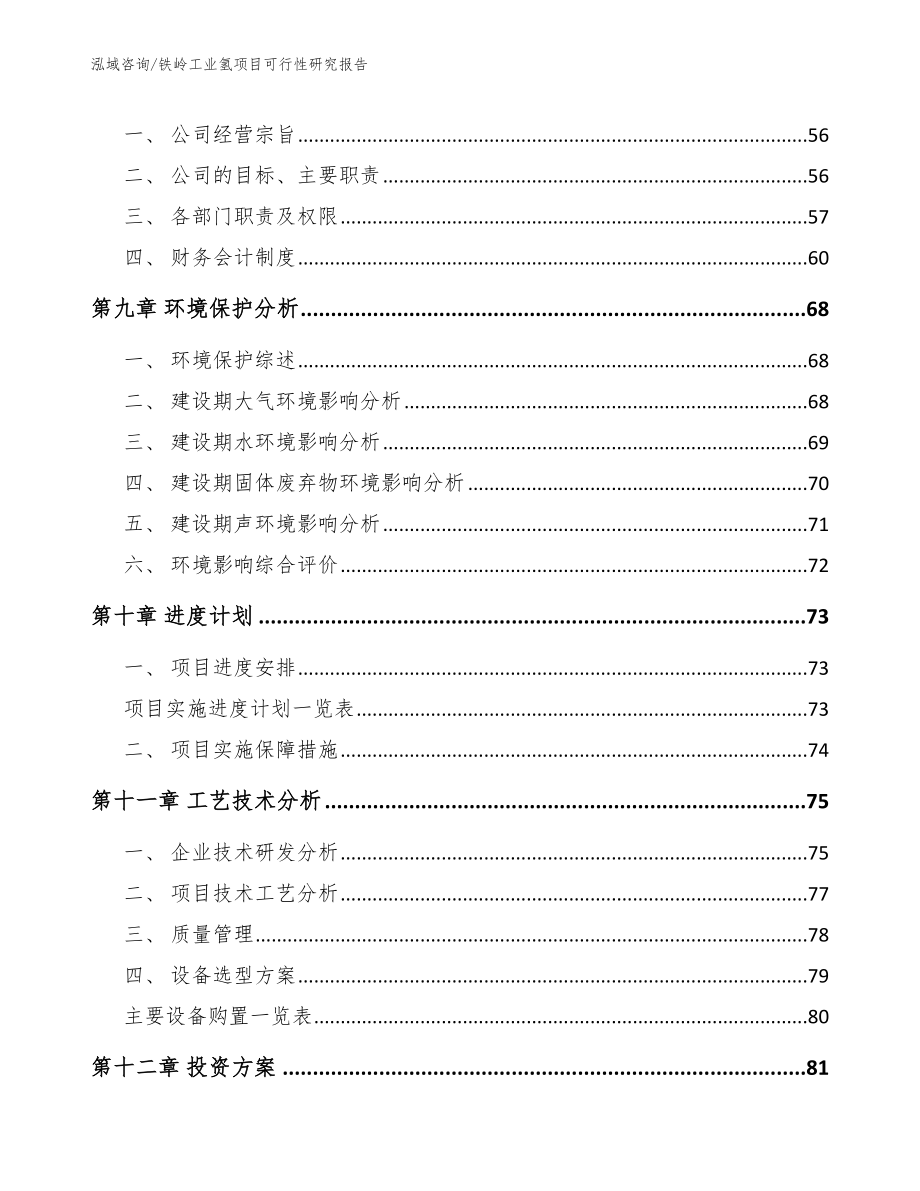 铁岭工业氢项目可行性研究报告_第4页