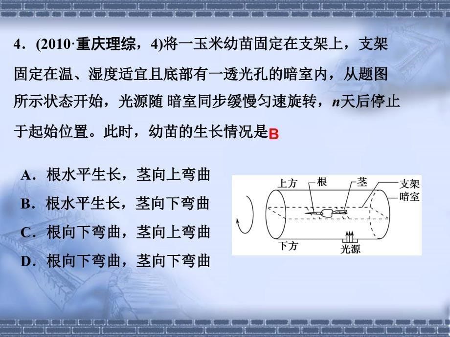 植物激素调节二轮复习专用_第5页