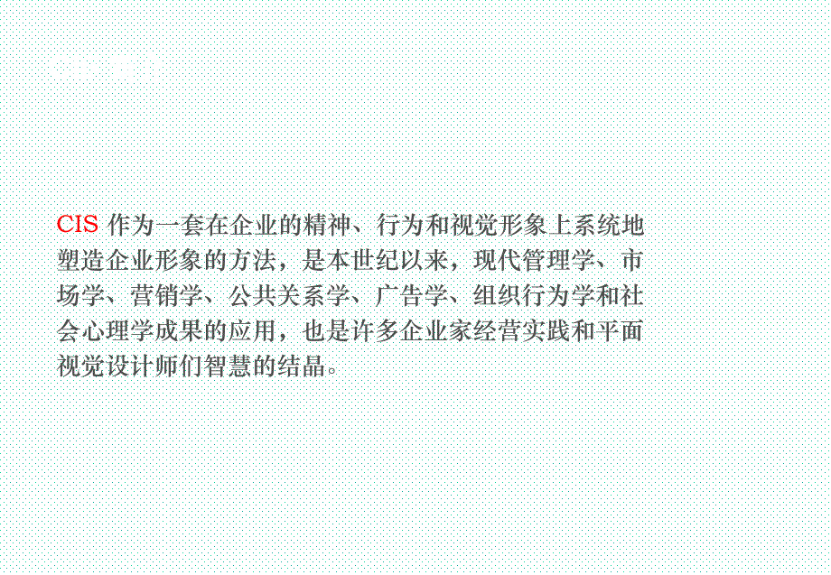 安徽国际汽车城VI系统建立设想_第4页