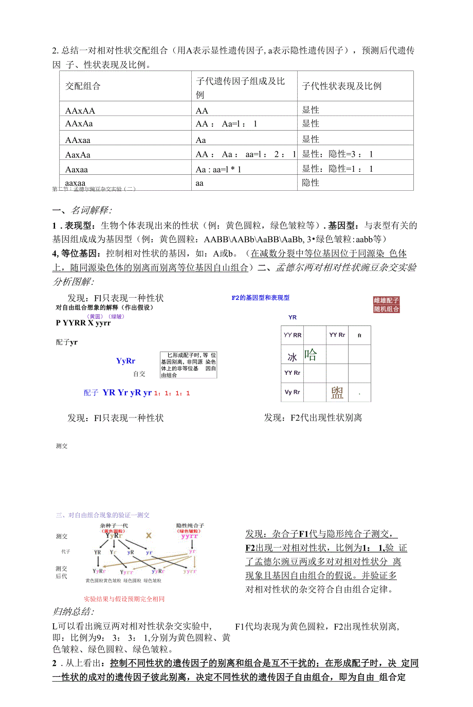 遗传复习提纲.docx_第2页