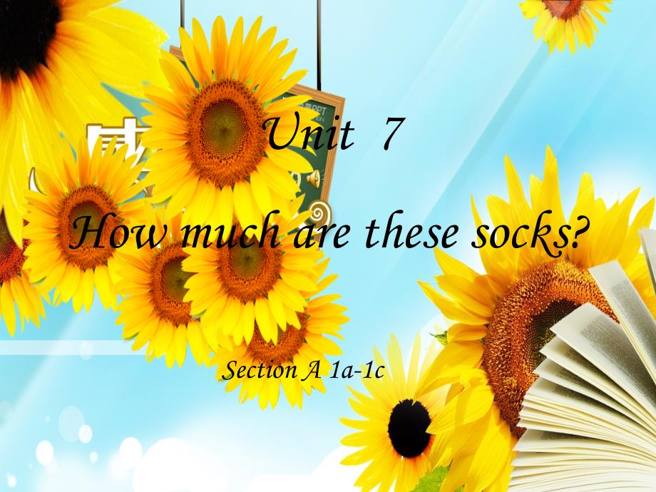 How_much_are_these_socks_公开课课件_第1页