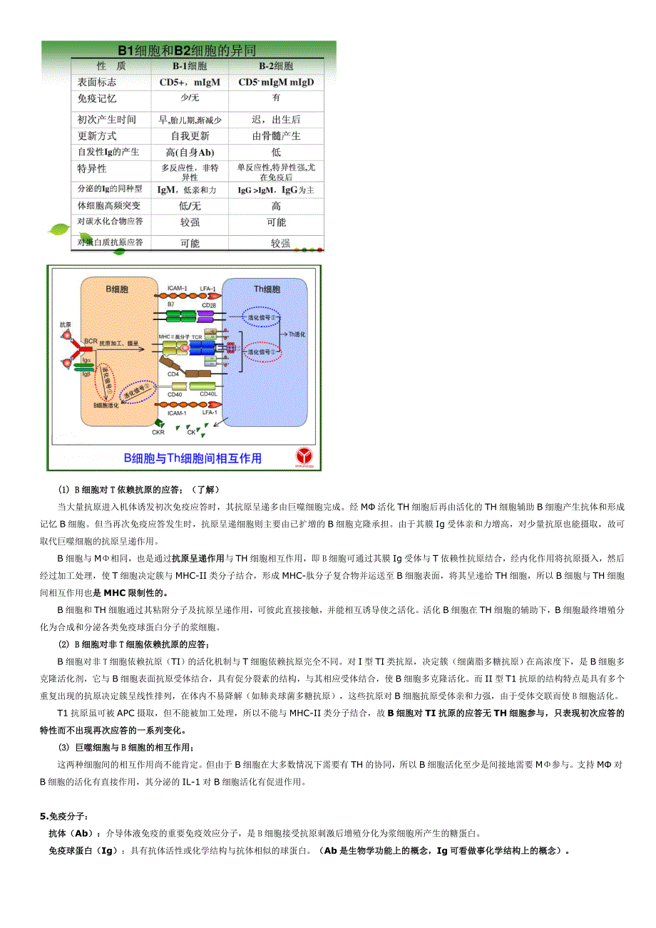 临床免疫学期末总复习.doc_第2页