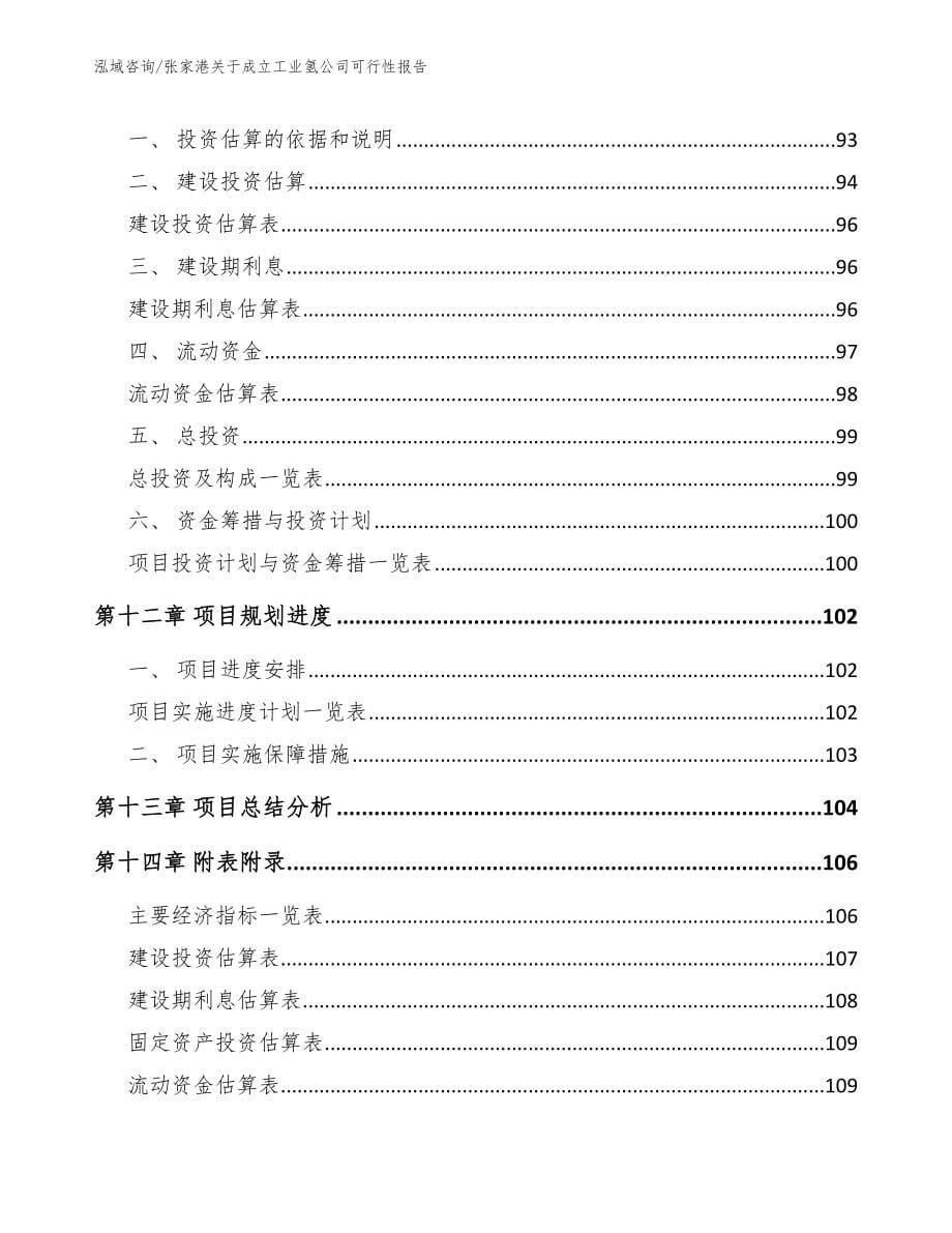 张家港关于成立工业氢公司可行性报告模板_第5页
