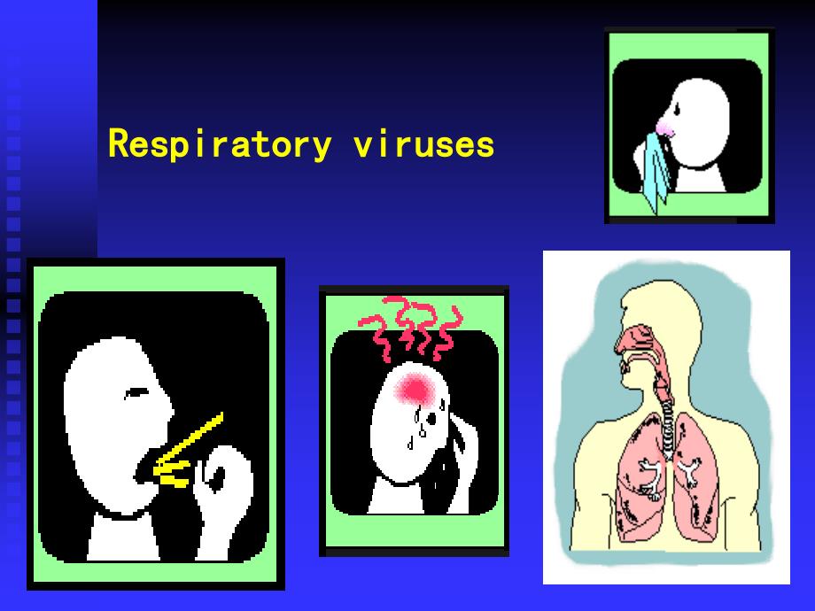 医学微生物学课件_第1页