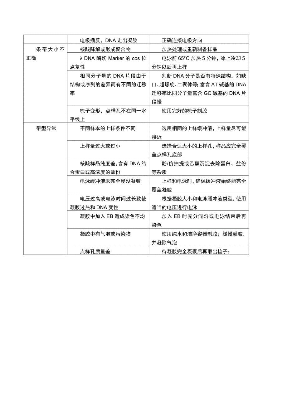 DNA电泳常见问题分析.doc_第5页