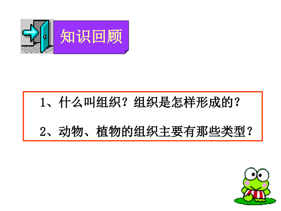 17多细胞生物体的组成_第2页