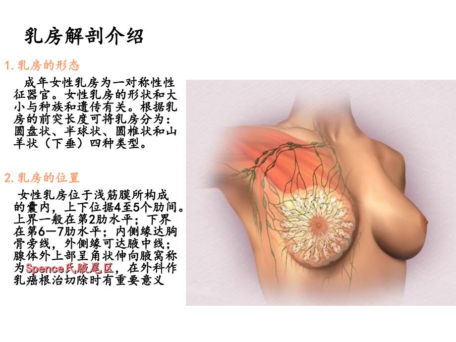 急性乳腺炎护理PPT_第3页