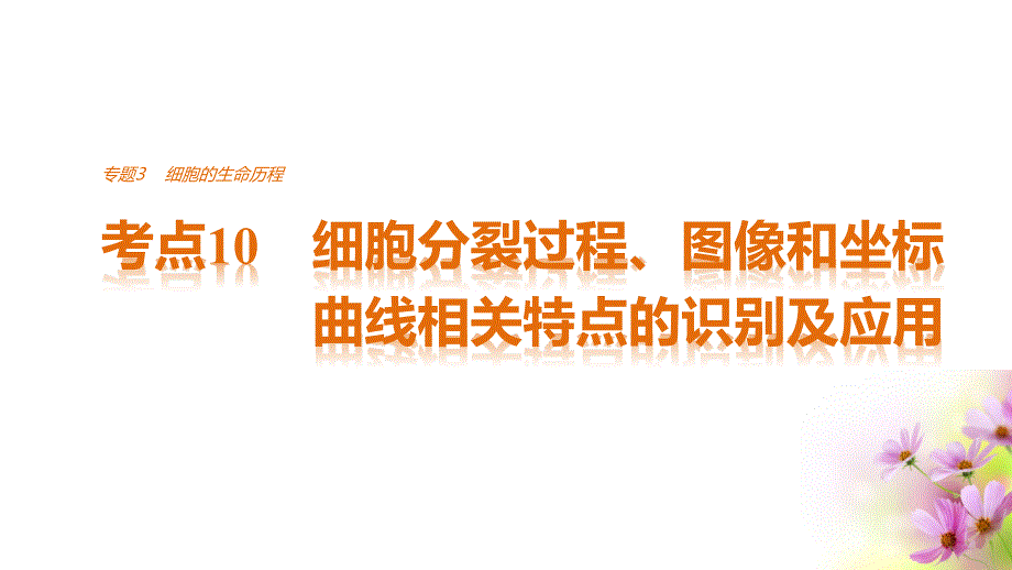 考点10-细胞分裂过程、图像和坐标曲线相关特点的识别及应用课件_第1页