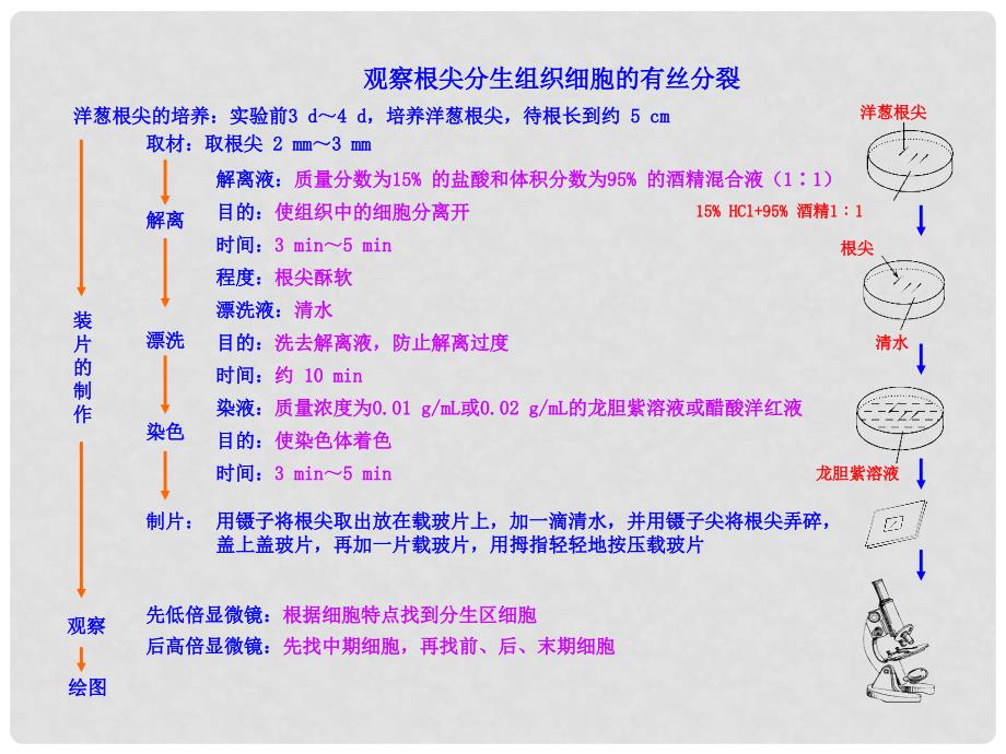 高考生物大一轮复习 知识点 观察根尖分生组织细胞的有丝分裂课件_第1页