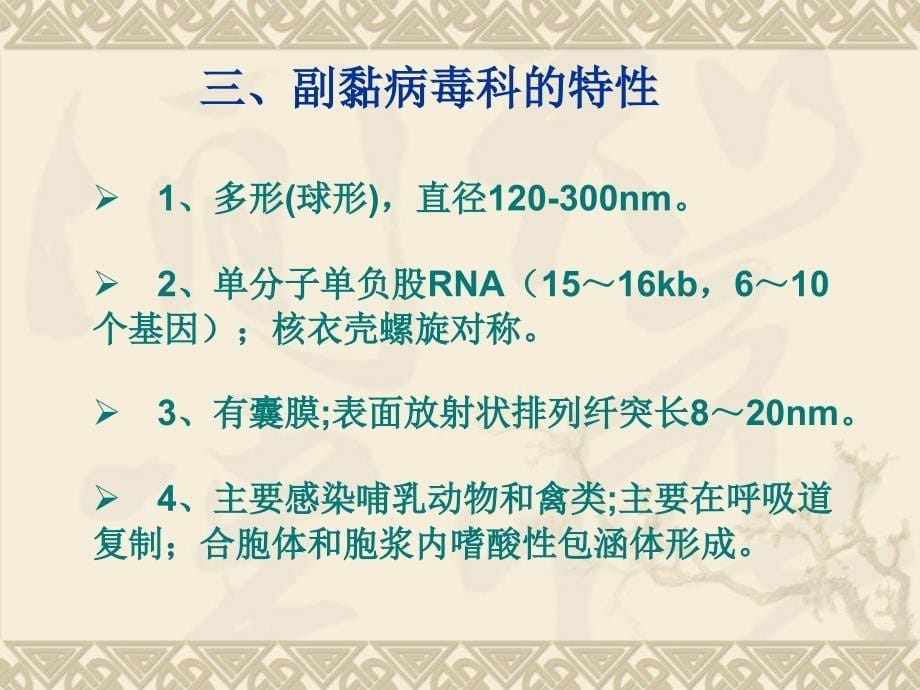 兽医微生物学教学课件16.单负链rna病毒_第5页