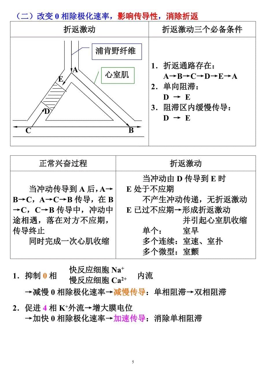 第二十三章抗心律失常药.doc_第5页