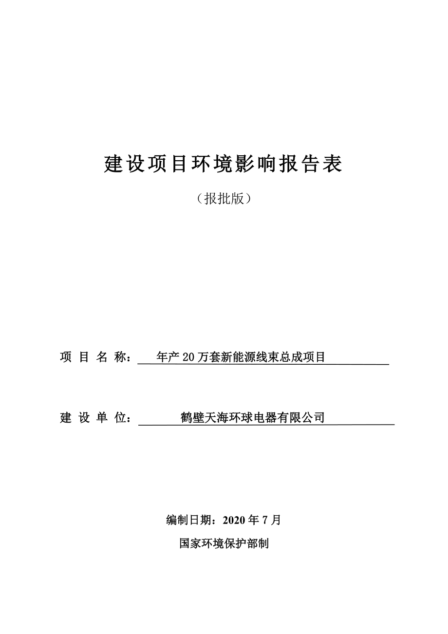 鹤壁天海环球电器有限公司 年产20万套新能源线束总成项目环境影响报告.doc_第1页