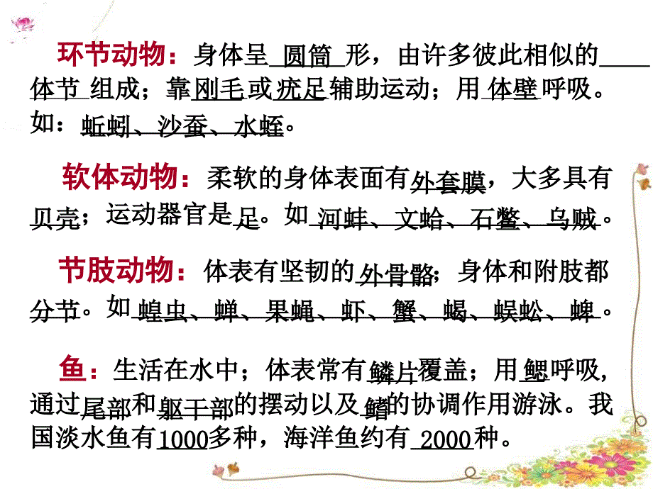 八年级上册生物期末复习提纲初二生物ppt_第2页