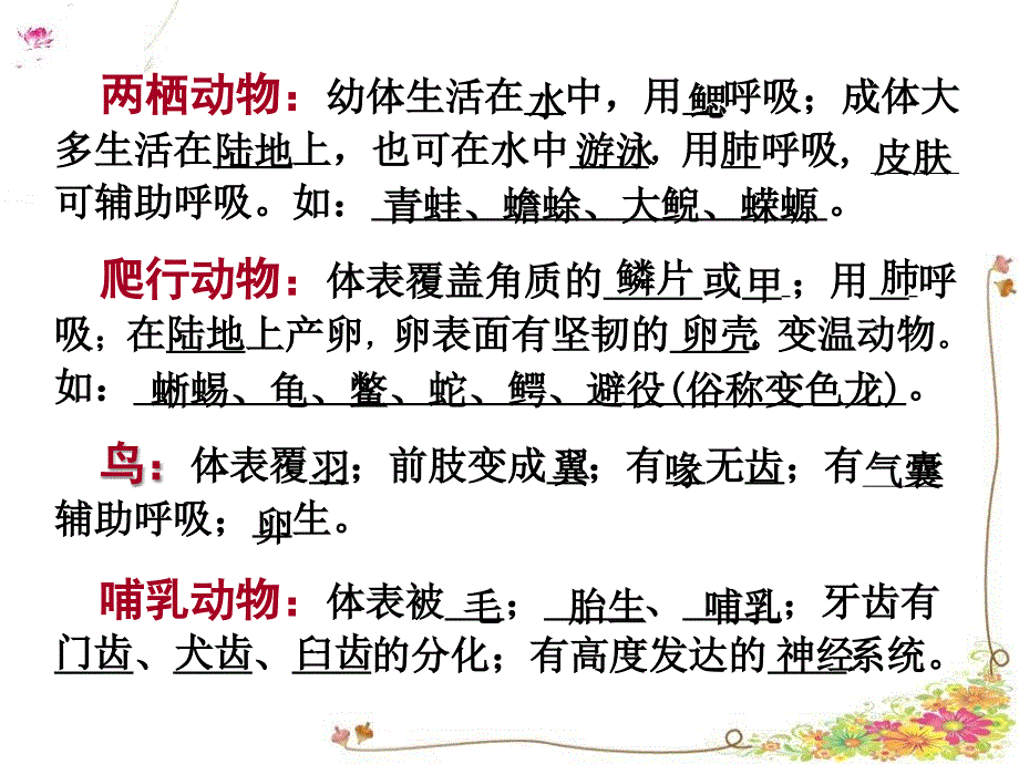 八年级上册生物期末复习提纲初二生物ppt_第3页