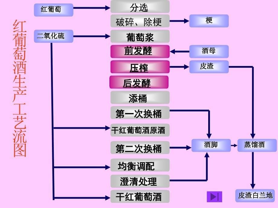 红葡萄酒的生产工艺课件_第5页