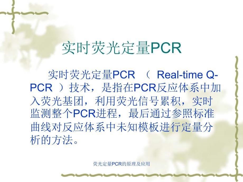 荧光定量PCR的原理及应用课件_第5页