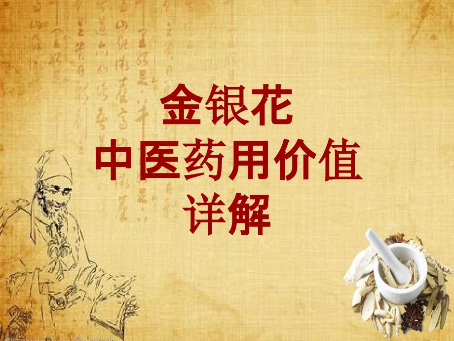 中药学_金银花_药材详解课件模板_第1页
