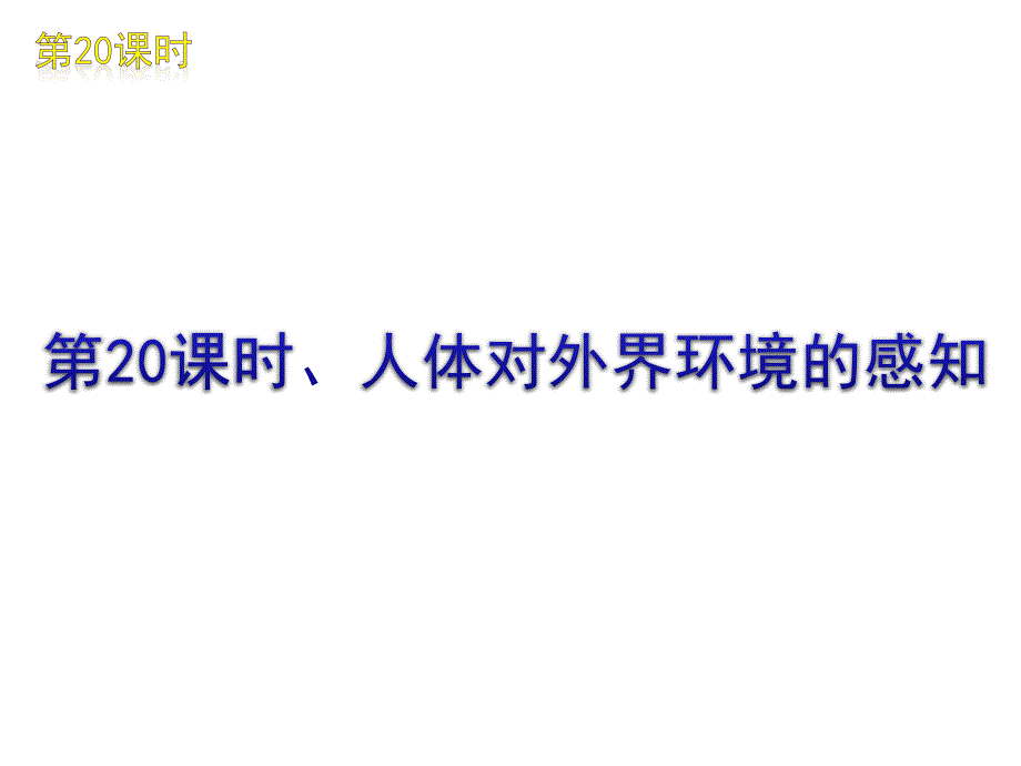 新人教版初中生物七年级下册《人体对外界环境的感知》复习课件_第1页