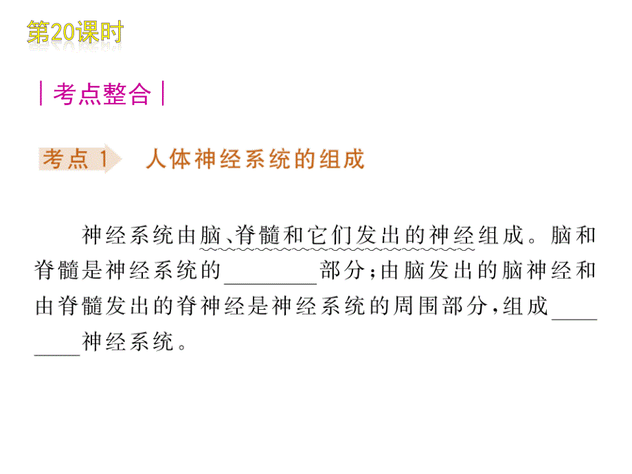 新人教版初中生物七年级下册《人体对外界环境的感知》复习课件_第2页