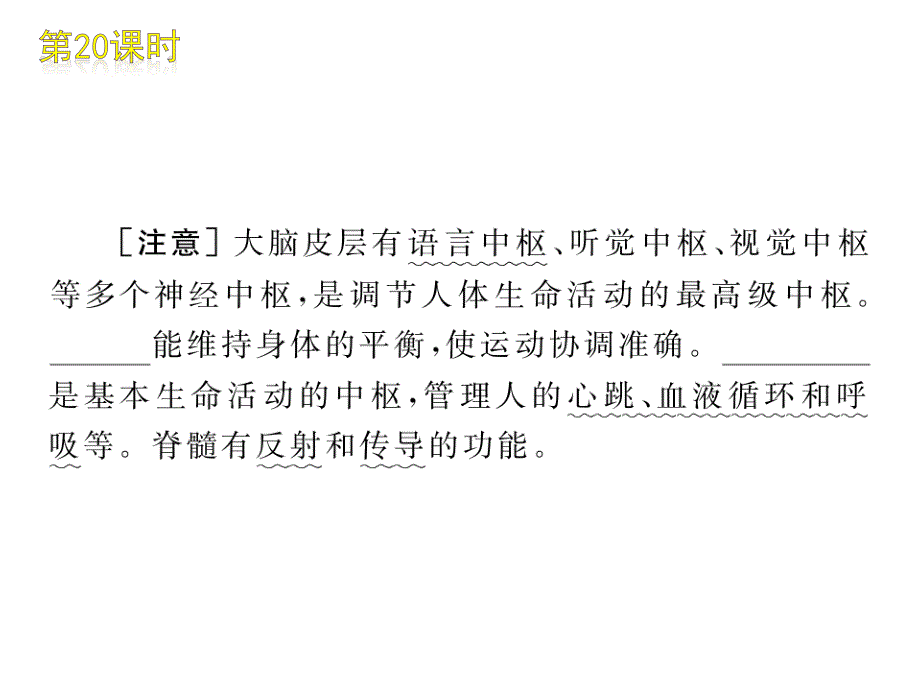 新人教版初中生物七年级下册《人体对外界环境的感知》复习课件_第3页