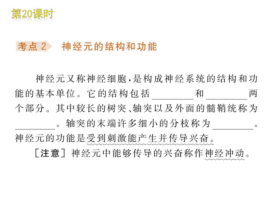 新人教版初中生物七年级下册《人体对外界环境的感知》复习课件_第4页