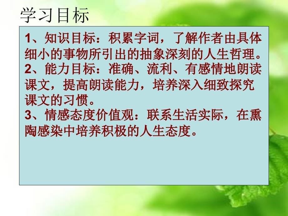 小思蝉公开课课件_第5页