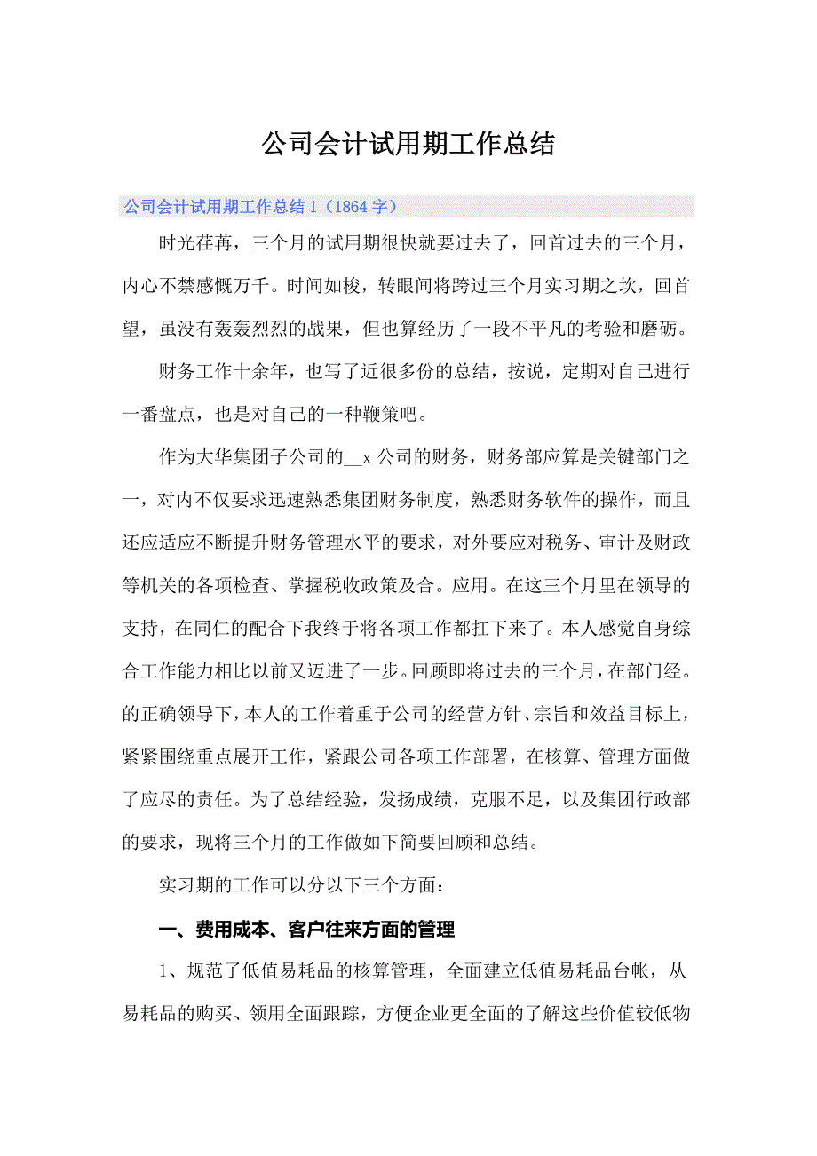 公司会计试用期工作总结_第1页