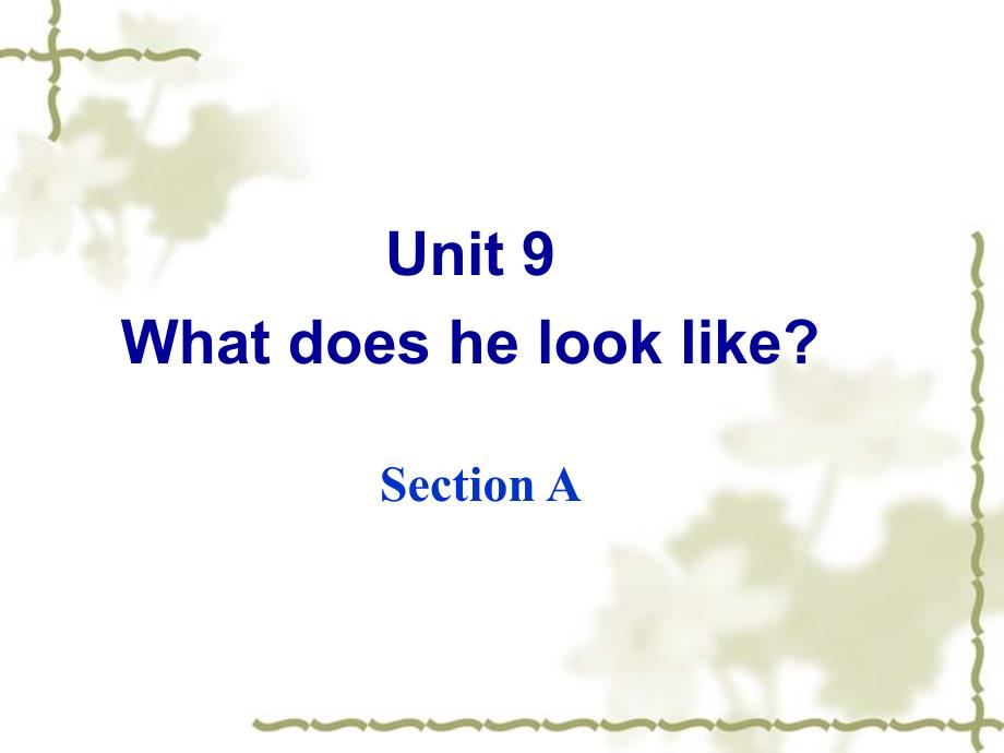 Unit9Whatdoeshelooklike？SectionA课件_第2页